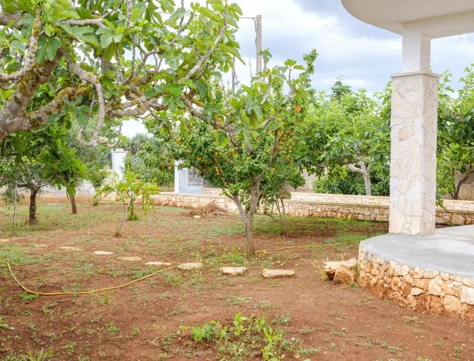 Villa Levante Sea View With Air Conditioning, Parking And Wi-Fi Villa in Apulia