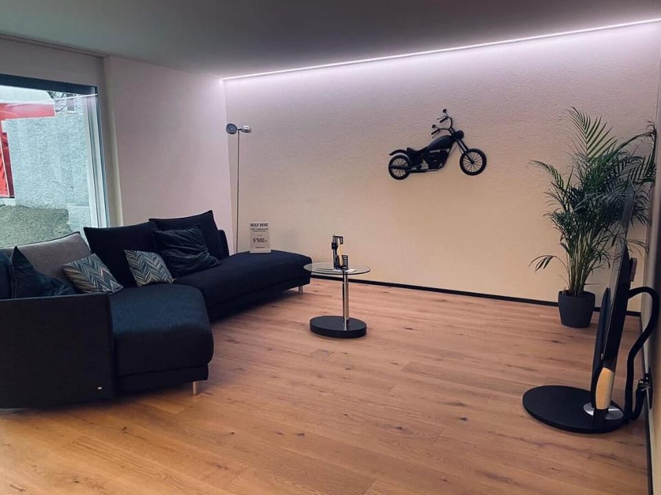 The R Apartment Zugerberg - EV Wallbox - Terrasse Apartment in Canton of Zurich