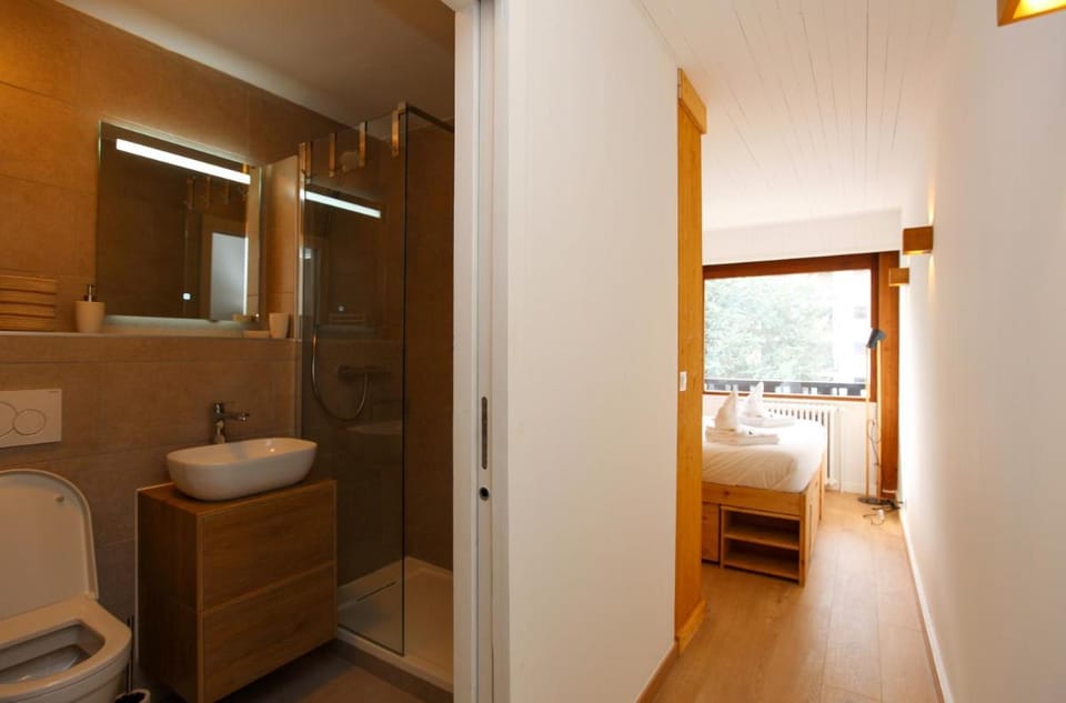 Superbe T3 en face du Brevent, Chamonix Apartment in Chamonix