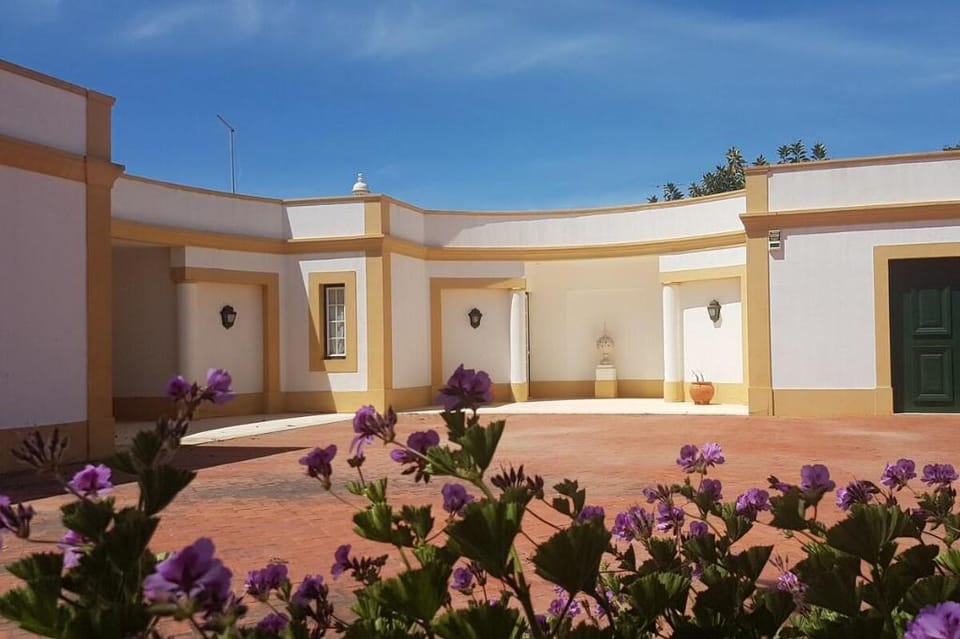 Spectacular Villa to breathe Oceano and relax! Villa in Guia