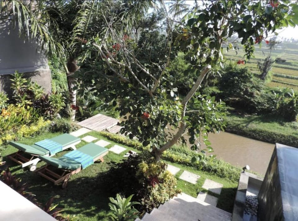 Nature Villa 5 BR Ricefield View Villa in Blahbatuh