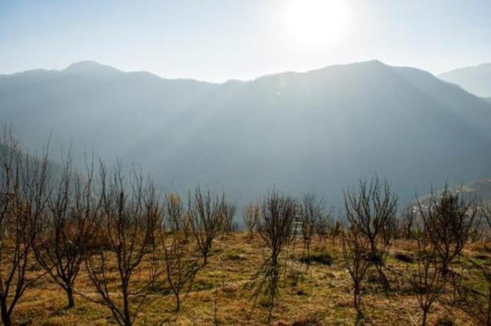 Palach Kothi - 02 Bedroom Attic Vacation rental in Himachal Pradesh