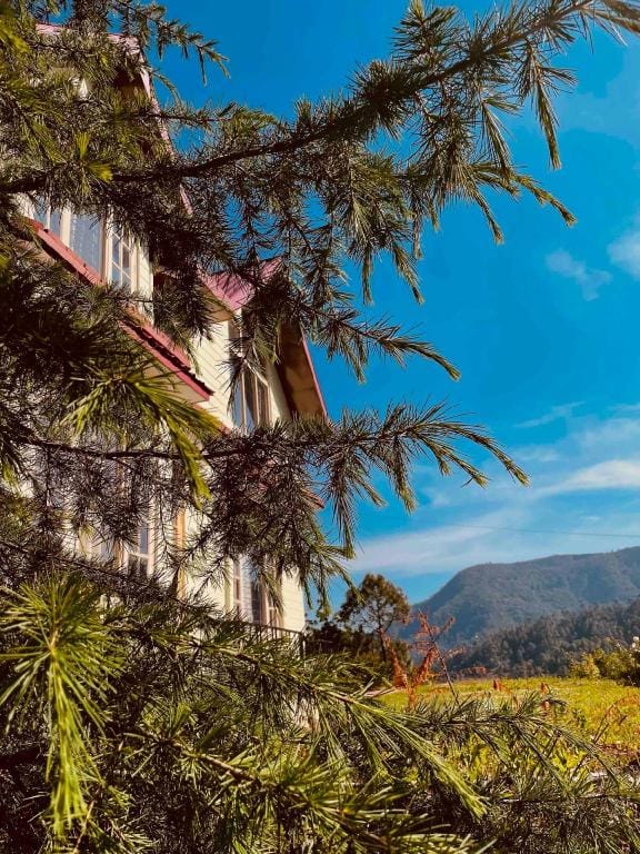 PineBreeze n BirdSong Cottage Shimla Vacation rental in Shimla