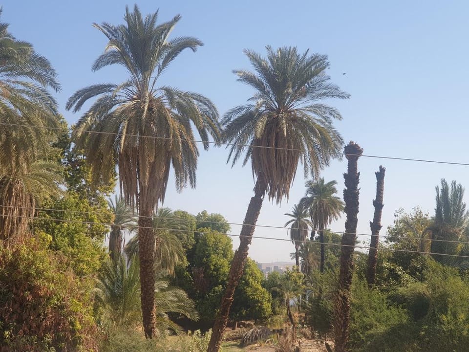 Nobal gist house  Apartment in Red Sea Governorate
