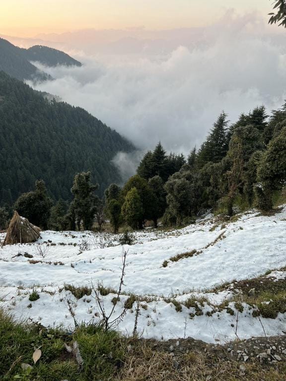 Nimrat apartment  Apartment in Himachal Pradesh