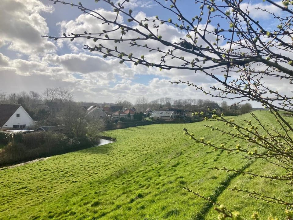 Holiday house Dijkrose 6 pers at lake Lauwersmeer Vacation rental in Anjum