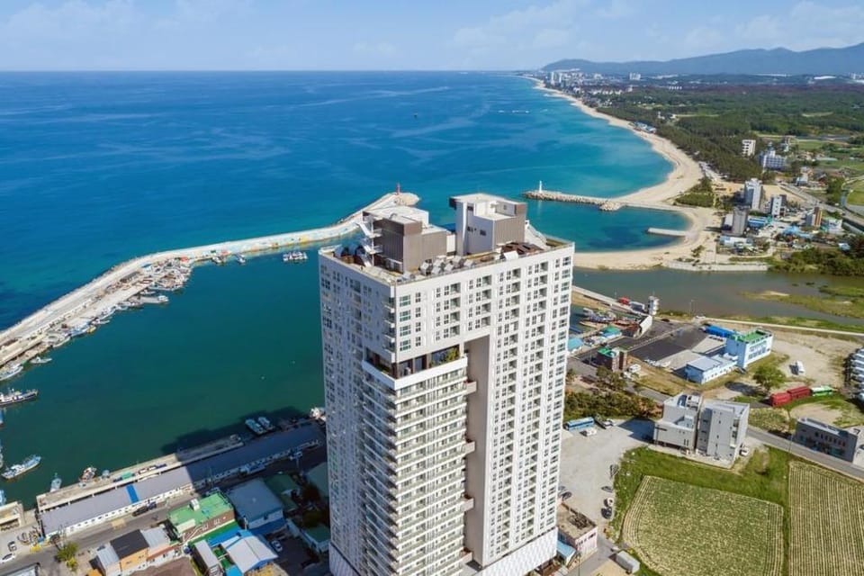 Gangneung The Gangneung Ocean Stay season4 Bed and Breakfast in South Korea