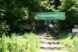 Gapyeong ongdalsam pension Bed and Breakfast in Gyeonggi-do