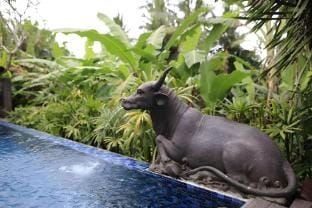 Kimoci 2 BR Villa with Private Pool #P29 Villa in Sukawati