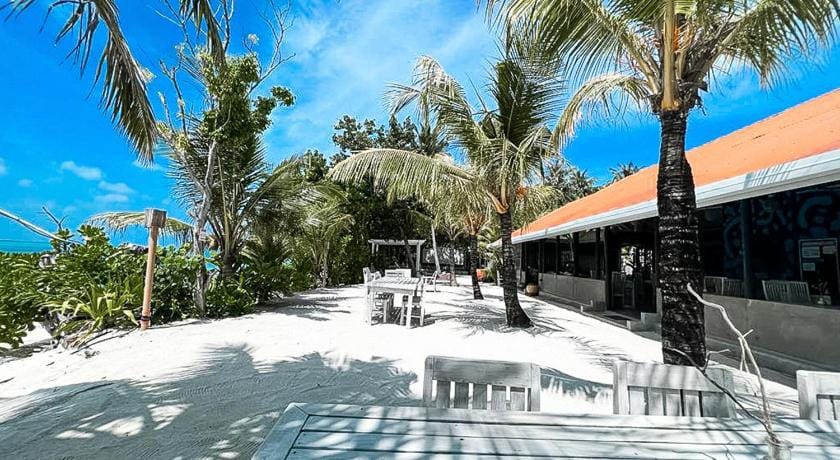 Tropical Tree Bed and Breakfast in Maldives