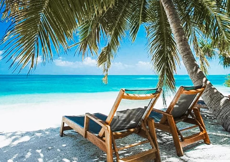 Tropical Tree Bed and Breakfast in Maldives