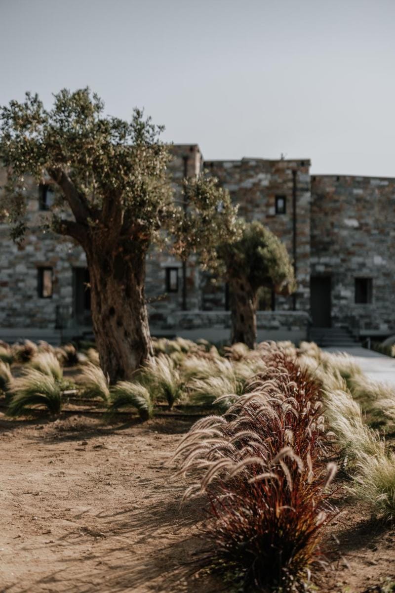 ONYM Curated Villas Villa in Naxos, Naxos and Lesser Cyclades, Greece