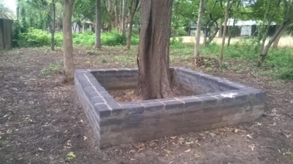 Abar Aranye Resort in West Bengal