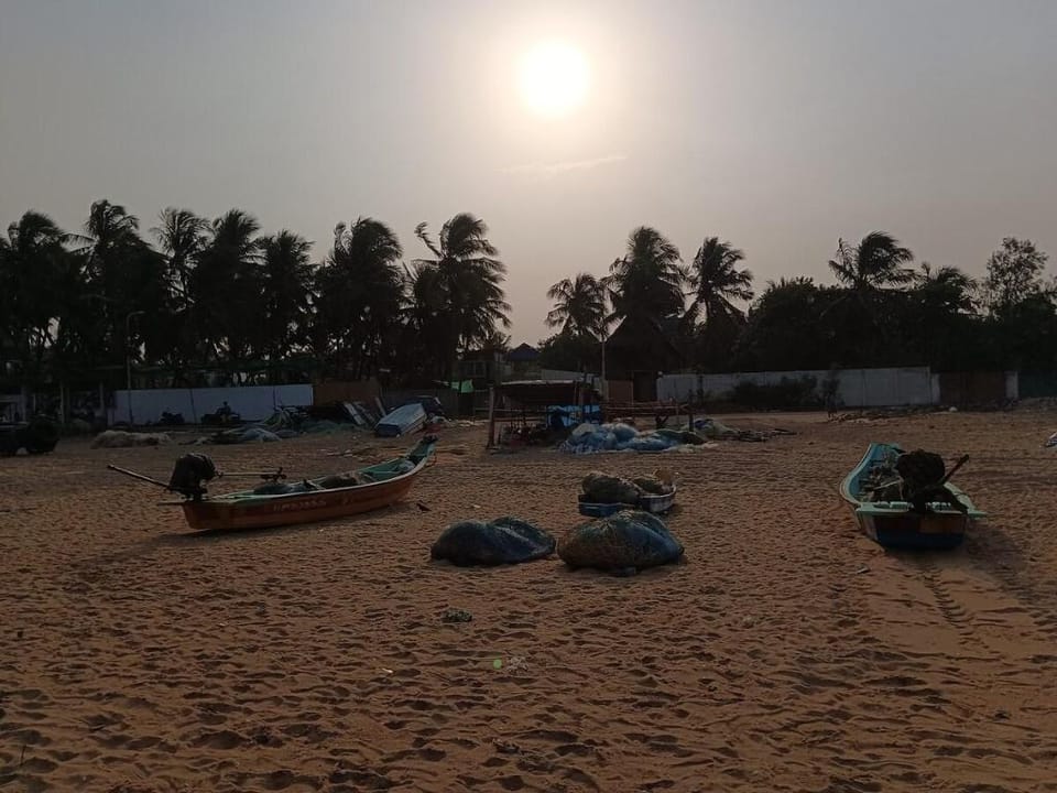 Happy Whales Bay - Beach View Vacation rental in Puducherry, India
