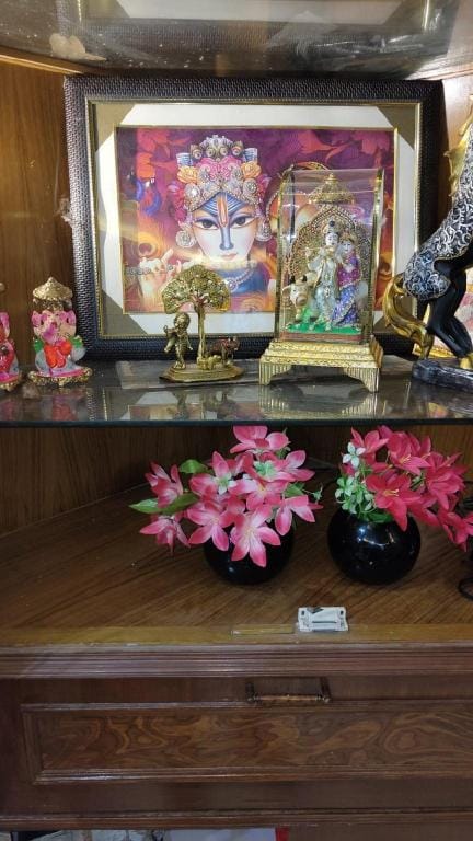 Luxurious 3 BHK Flat Vacation rental in Uttar Pradesh