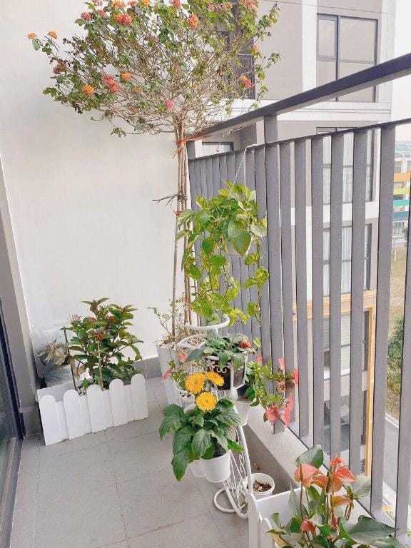 Bunny's Homes@The Zen@Vinhomes Ocean Park Apartment in Laos