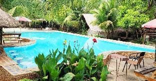 Eco-Treehouse Glamping Services Luxury tent in Central Visayas