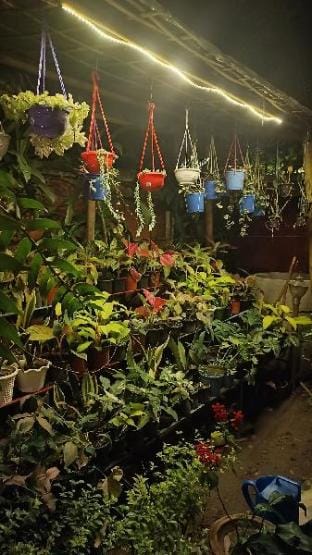Babblers Inn a boutique homestay Vacation rental in India