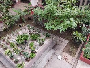 Vatika Homestay Villa in Varanasi