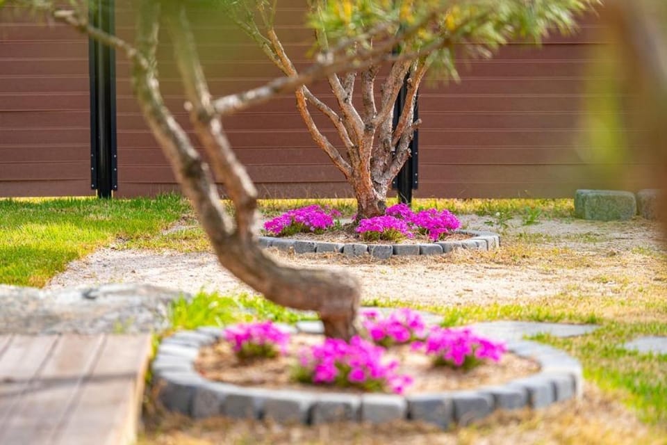 Chuncheon Soopsog Jageun Jib Pension Bed and Breakfast in Gyeonggi-do