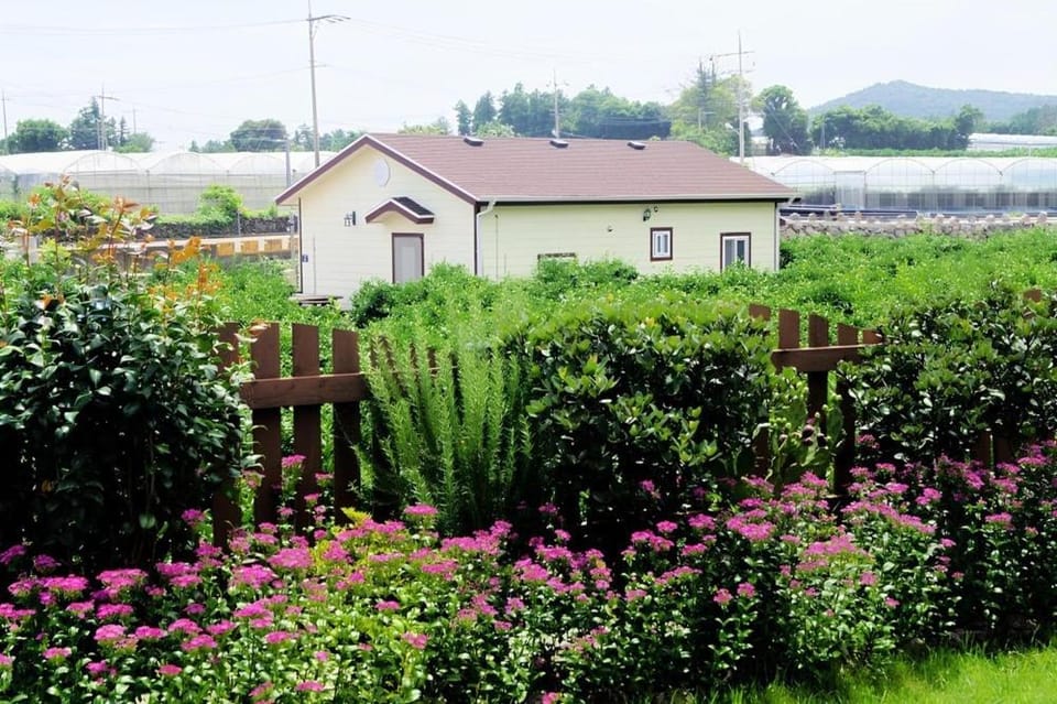 Jeju Haengwoon clover Bed and Breakfast in South Korea