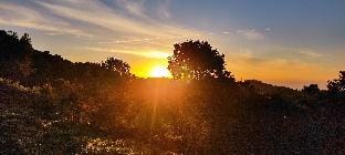 Adithya Sunrise View Cottage Vacation rental in Kerala