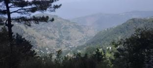 A Tranquil Retreat in khairagali Vacation rental in Pakistan