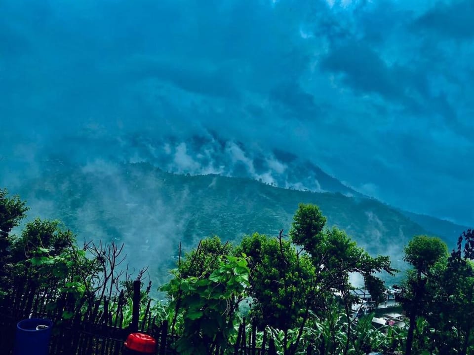 Artist Valley Homestay Vacation rental in Uttarakhand