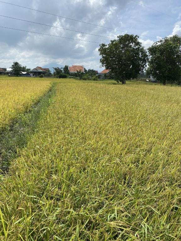 Phòng tình yêu Vacation rental in Khanh Hoa Province