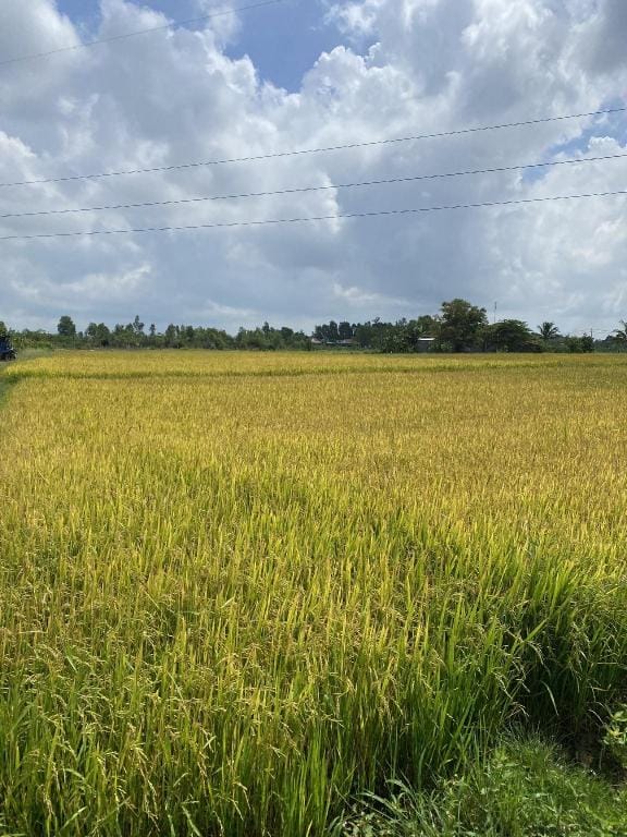 Phòng tình yêu Vacation rental in Khanh Hoa Province