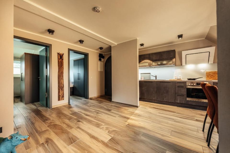 Baude III Apartment in Braunlage