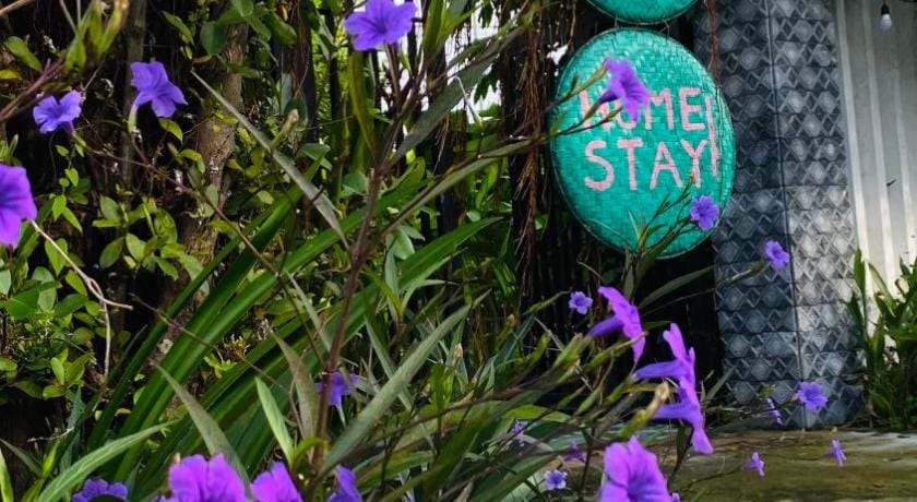 Laoxao Homestay | Double Room with Terrace Apartment in Hoi An