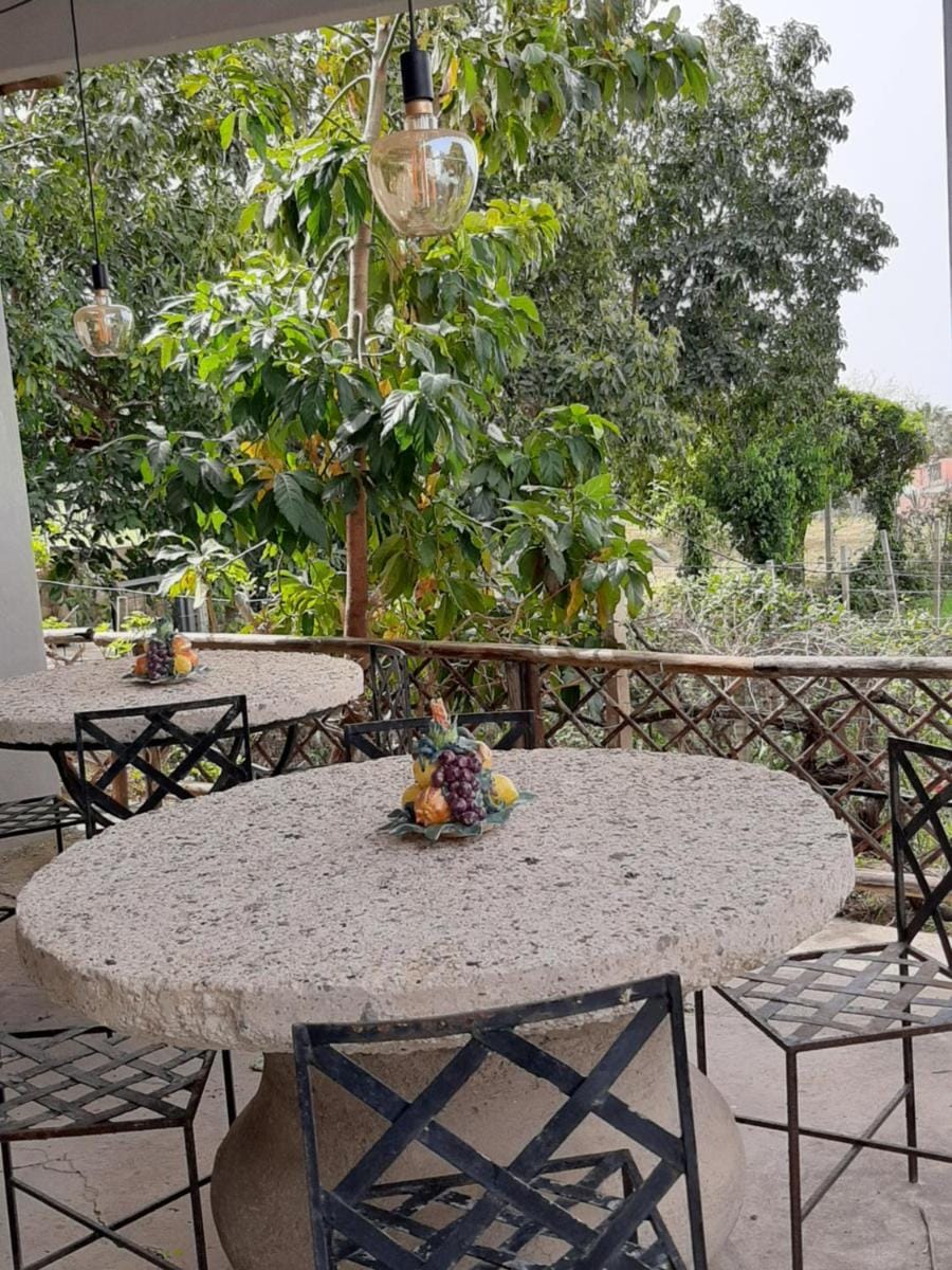 Il Vitigno di Dioniso Hotel in Forio