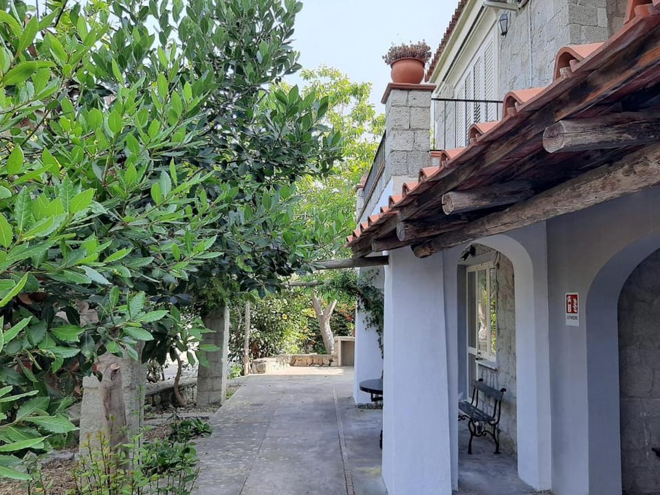 Il Vitigno di Dioniso Hotel in Forio