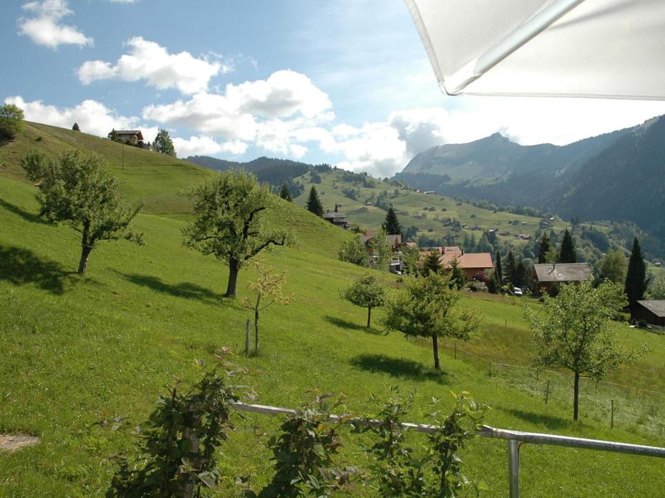 Serene Farmhouse in Habkern with Parking Vacation rental in Canton of Bern (Region)