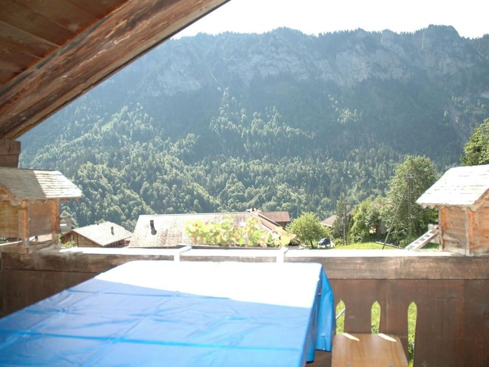 Serene Farmhouse in Habkern with Parking Vacation rental in Canton of Bern (Region)