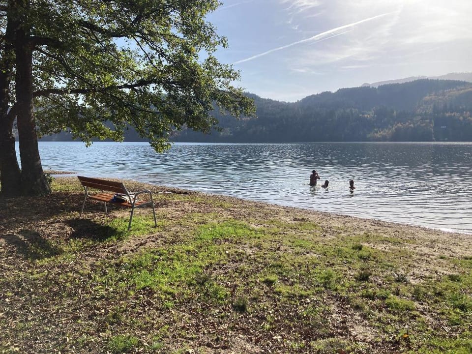 Holiday Home Seeboden near Ski  Lake Views Vacation rental in Carinthia, Austria