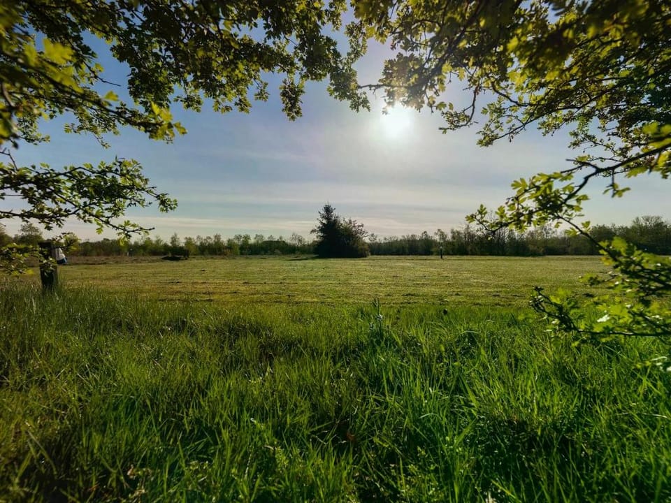 Holiday Home in Drents-Friese Wold with Sauna Vacation rental in Drenthe (province)