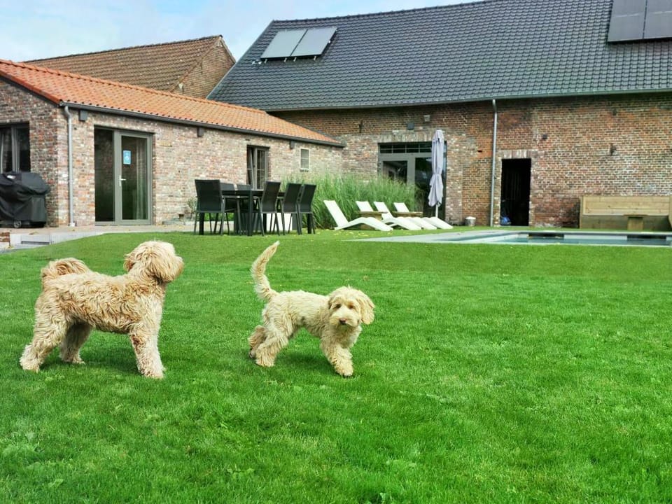 Vlaanderen Cozy Cottage Vacation rental in Limburg (province)