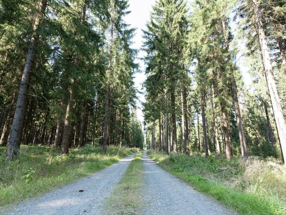 Retreat with Sauna, Hot Tub Apartment in Erzgebirgskreis