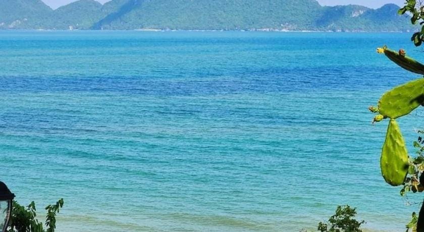 ภูผาหน้าเล PhuPha-NaLay Cafe'n Camping Resort in Thailand