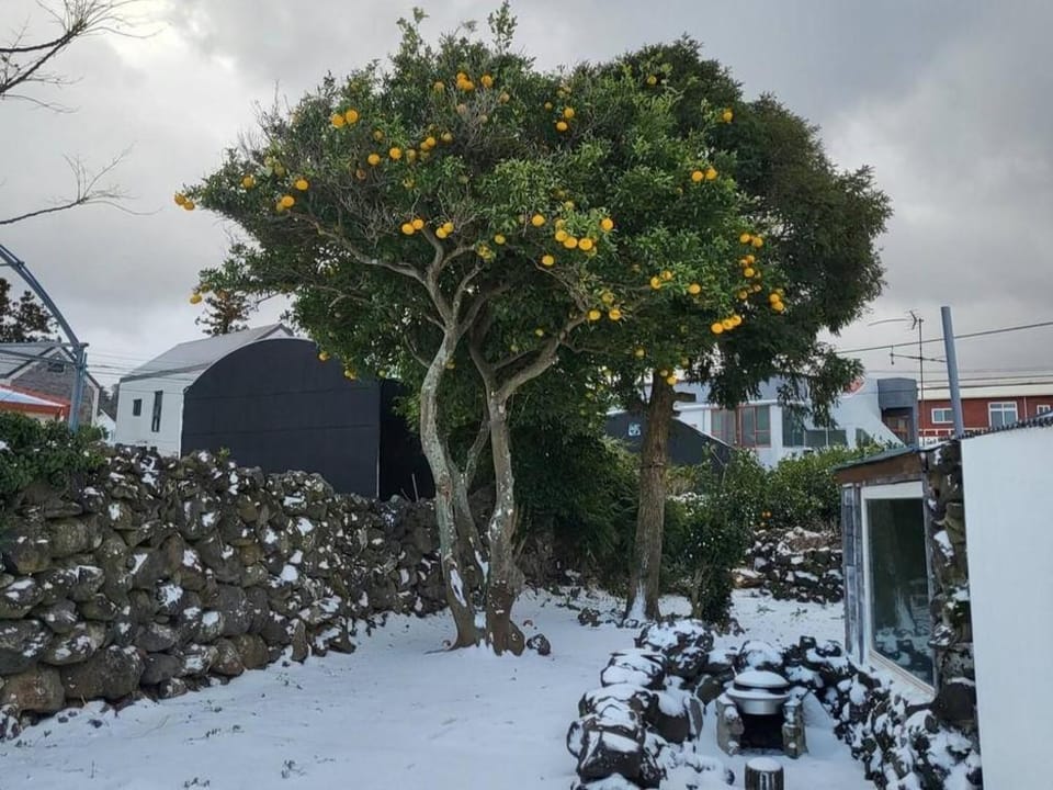 Jeju Ya Aewol Dokchae Stay Bed and Breakfast in South Korea