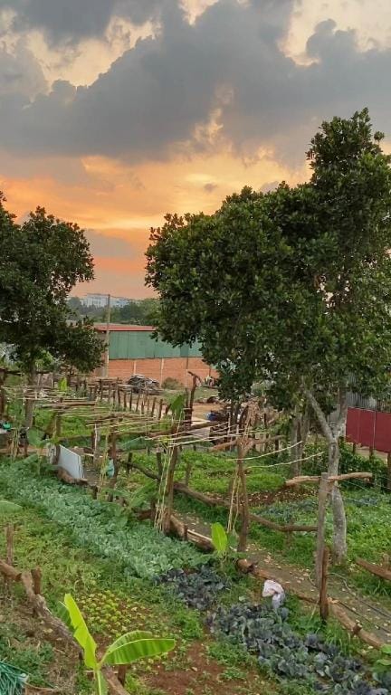 Homestay Buôn Ma Thuột Xóm Rau Vacation rental in Vietnam