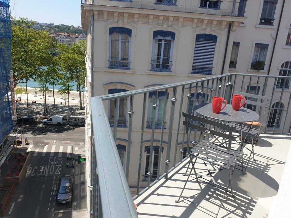 Bel et Grand appartement familial  Apartment in Lyon
