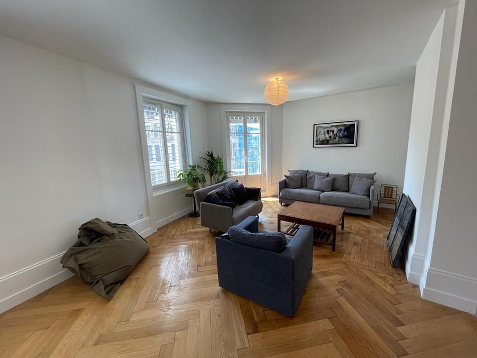 Bel et Grand appartement familial  Apartment in Lyon