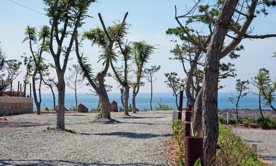 Padowa Noeul Camping Bed and Breakfast in South Korea
