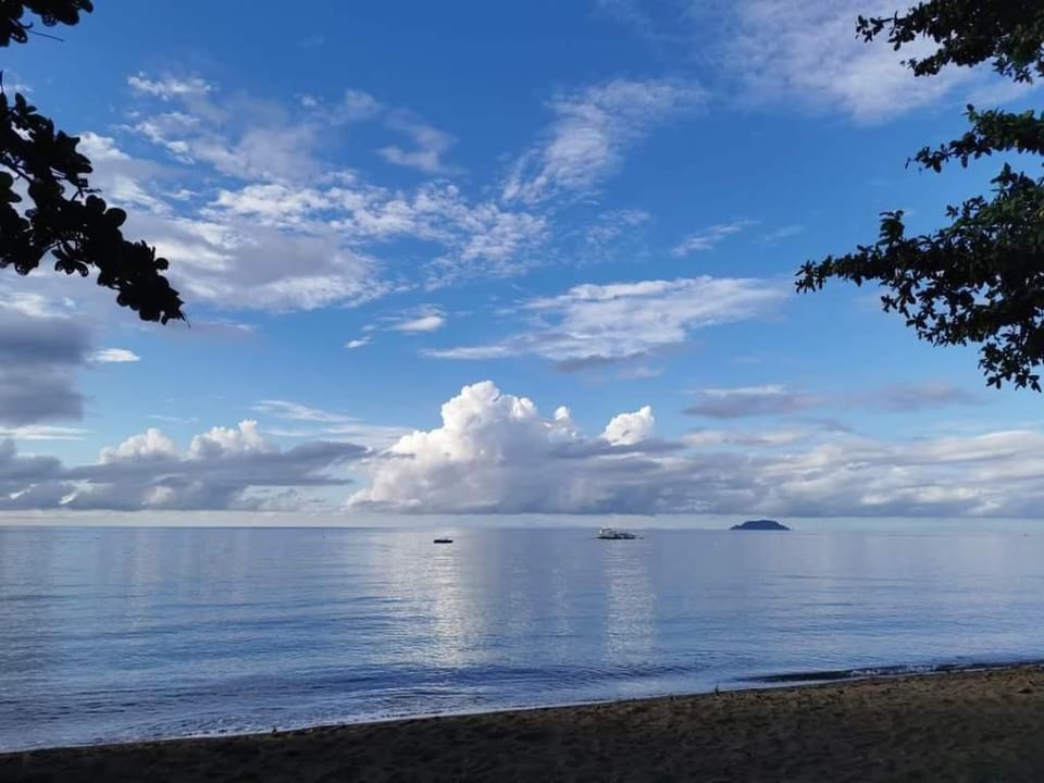 Beachfront Bamboo Glamping Dome at Dauin Marine Sanctuary Vacation rental in Central Visayas