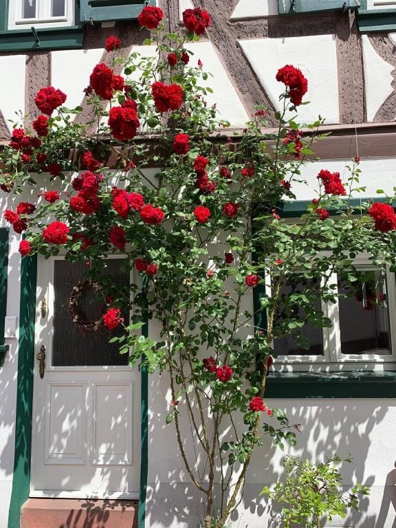 Altstadtglück Seligenstadt Hotel in Hesse
