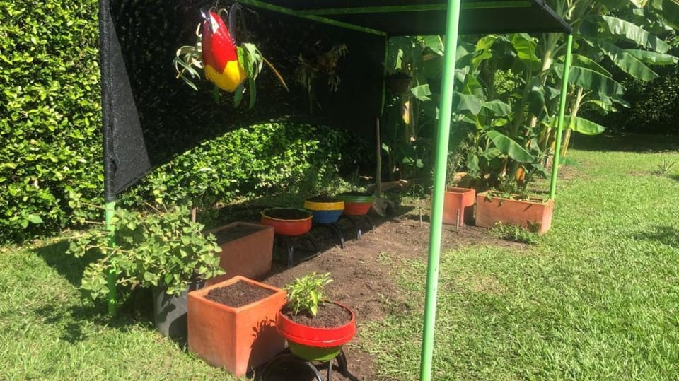 Amazonas C25  Vacation rental in Tolima