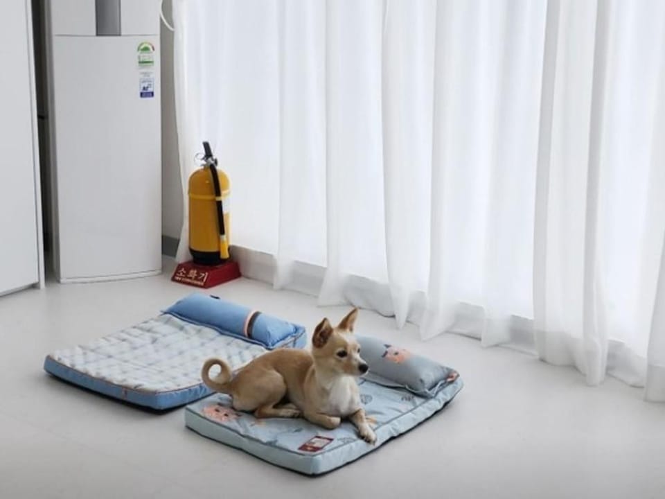 Dalgwa 7 Pence Bed and Breakfast in South Korea